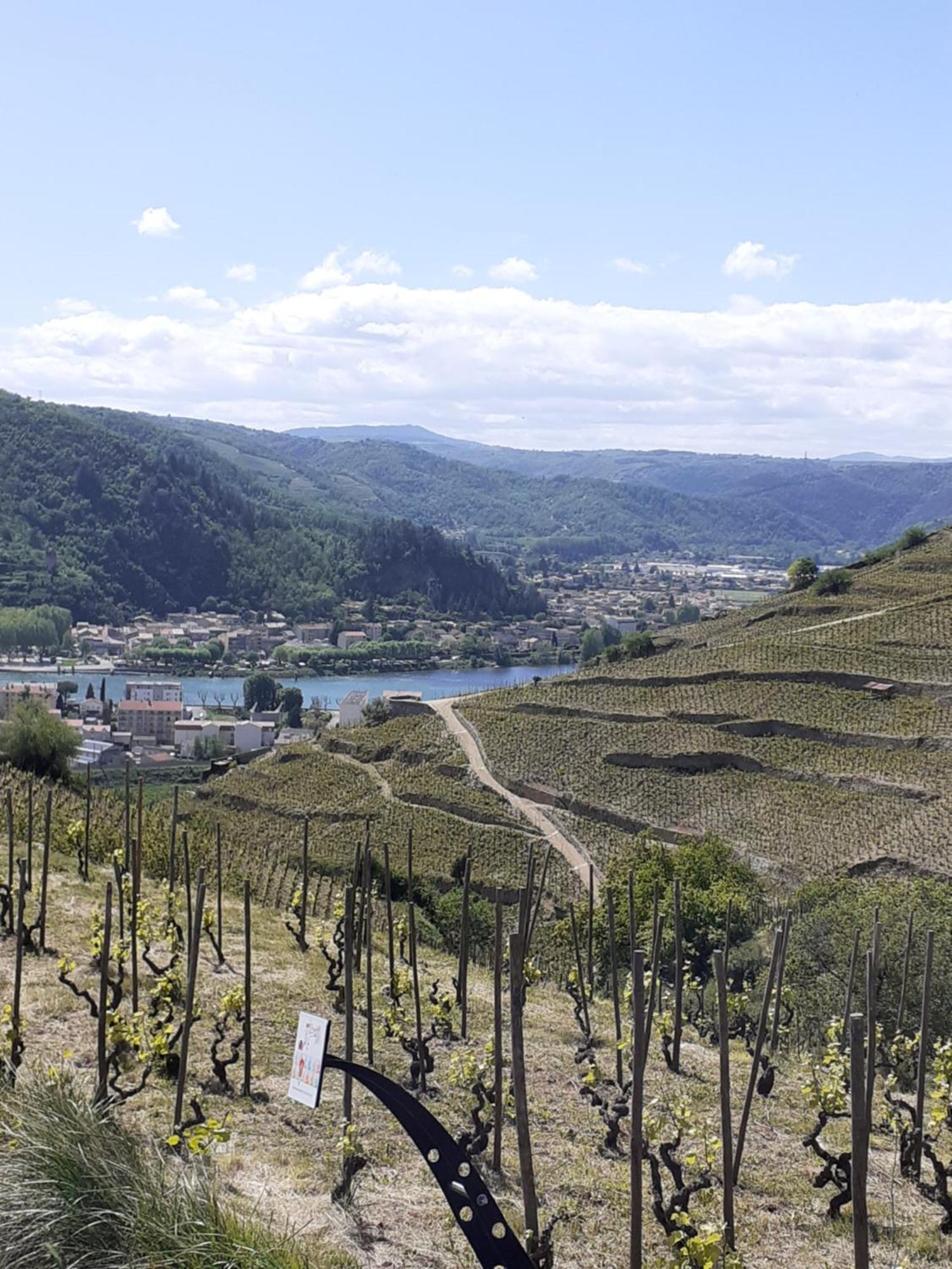 Gite Du Vigneron A La Terrasse Piscine Local Velos تورنو-سور-رون المظهر الخارجي الصورة