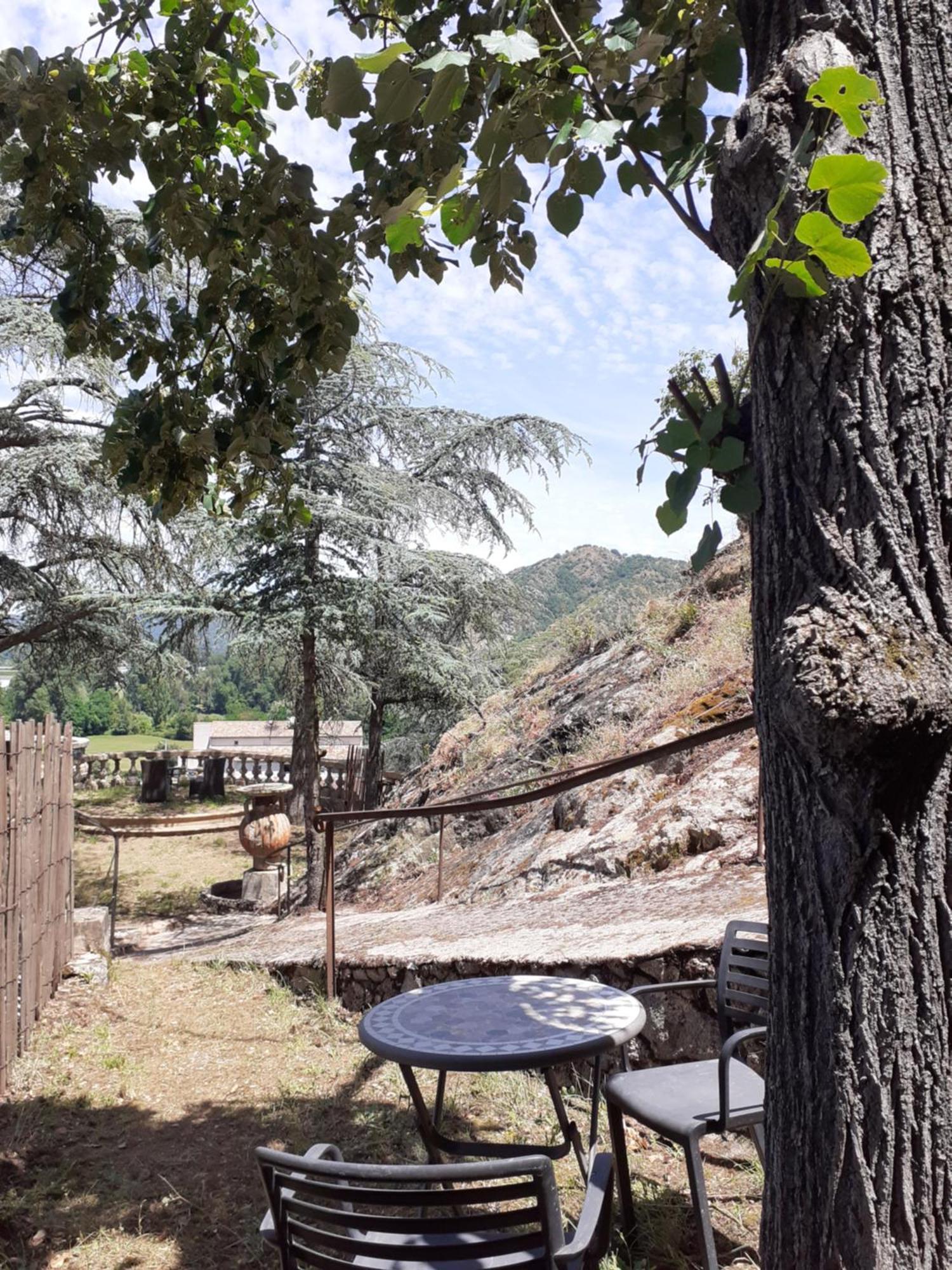 Gite Du Vigneron A La Terrasse Piscine Local Velos تورنو-سور-رون المظهر الخارجي الصورة